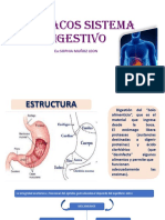 Fco Aparato Digestivo