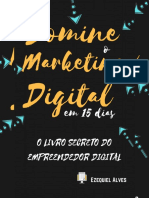 Domine Todo o Marketing Digital em 15 Dias