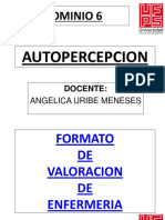 Dominio Autopercepcion Ufps1