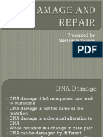 DNA Damage and Repair