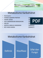 Metabolisme Karbohidrat