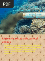 How To Save Marine Life