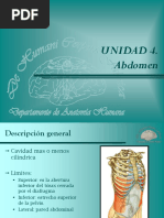 26 Abdomen. Generalidades