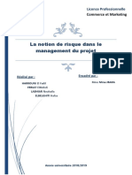 Management Des Risques Du Projet