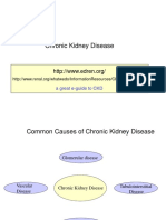 Chronic Kidney Disease: A Great E-Guide To CKD