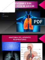 Examen Físico Del AP - Respiratorio