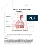 Body Systems That Are Essential During Workouts: Lungs