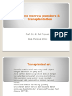 Bone Marrow Puncture & Transplantation: Prof. Dr. Dr. Adi Priyana SPPK Bag. Patologi Klinik