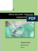 Drug Delivery Through Nanohydrogels