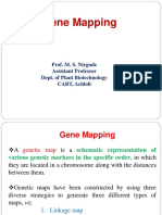 Gene Mapping