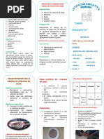 Triptico Cascara de Papa