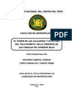 Navarro Campos-Lopez Cangalaya PDF