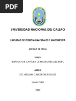 Terapia Por Captura de Neutrones en Boro