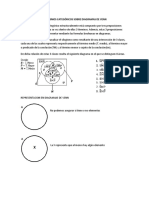 Silogismos Categóricos Sobre Diagramas de Venn TNT