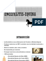 Encefalitis Equina