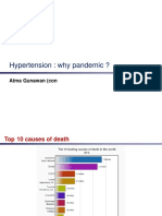 Hypertension: Why Pandemic ?: Atma Gunawan (Con