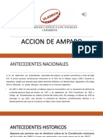 Accion de Amparo - Diapositivas