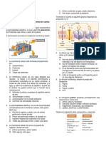 Biologia y Quimica 6° Ii Per