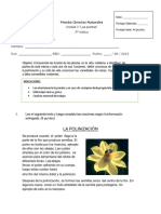 Evaluación 3º "Partes de La Planta" AGOSTO