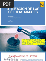 Utilización de Las Células Madres