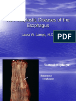 07a. Non Neoplastic Disease of Oesophagus