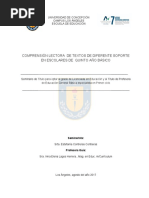 Comprensión Lectora en Textos de Diferente Soporte en Escolares de Quinto Año de Basica.