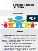 Conceptos Basicos Derecho Familia