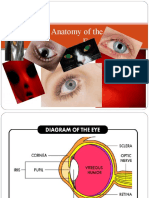 Anatomy of The Eye