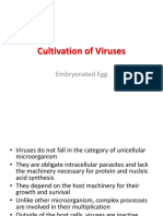 Cultivation of Viruses: Embryonated Egg