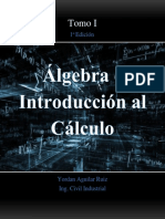 Algebra e Introduccion Al Calculo 1