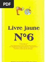 Livre Jaune N6