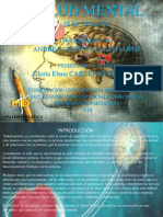 Diapositivas Salud Mental