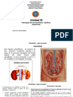 Suprarrenal