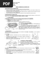 Guia Reinos de Los Seres Vivos