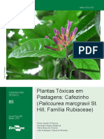 Plantas Toxicas em Pastagem