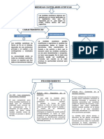 Mapa Conceptual