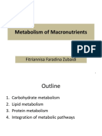 Metabolisme Makronutrien Fix