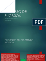 Exposicion Proceso de Sucesion