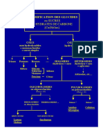 Diagrammes Glucides Important PDF