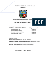 Química Informe N11