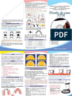 Triptico Diseño PPR