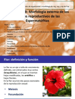 Clase 032019 Flor