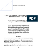 A Study of The Biometry of Some Breeds of Arabian Camel (Came/us Dromedarius) in Saudi Arabia