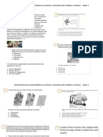 Evaluacion Ciencias Cuarto Periodo Naturales 5