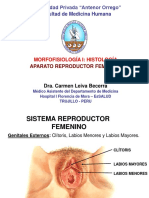 Histologia Del Aparato Reproductor Femenino