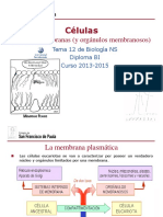 GTP - T12. Células (4 Parte (I) - Membrana y Orgánulos Membranosos) 2013-15