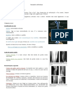 Traumato-Ortopedia Com Complemento