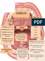 Cavidad Oral