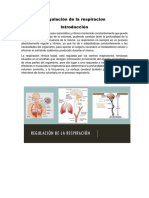 Introduccion Regulación de La Respiracion