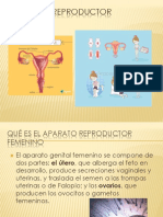 Aparato Reproductor Femenino